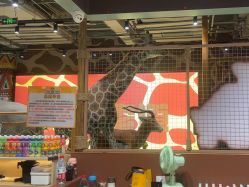 -鲁比猴非洲探索部落(喜盈门店)