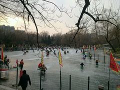-紫竹院公园冰场