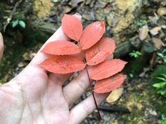 -城崎温泉 外七汤