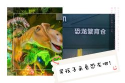 -恐龙探索乐园(磁器口店)