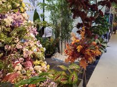 -长春青怡坊鲜花批发(青怡坊花鸟市场店)