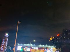 -野萃山·潮汕厚果汁(十亩地店)