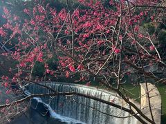-九鲤湖风景区