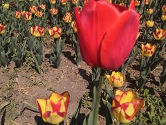 -长春公园(普阳街道)