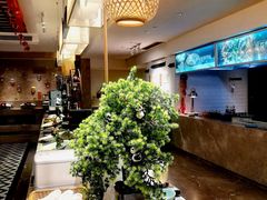 -成都天府丽雅酒店-宽窄店丽悦餐厅