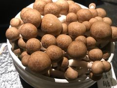 -新草堂锅物料理(泉城路店)