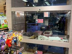 -FAELING PETS美天灵宠物(富力广场店)