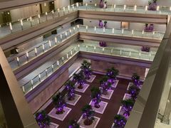 -南京禄口机场雅高铂尔曼大酒店