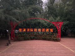 -北海金海湾红树林生态旅游区