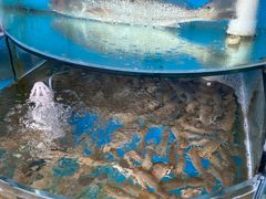 -沿海渔家院蒸汽海鲜·东北菜(东戴河店)