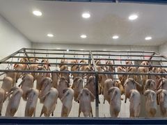 -粥旺庄(芳村店)