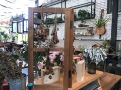 -北马山庄植趣咖啡