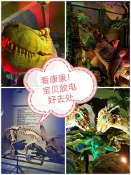 -恐龙探索乐园(磁器口店)