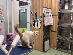 -康乐宝动物医院