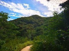 -北京西山国家森林公园