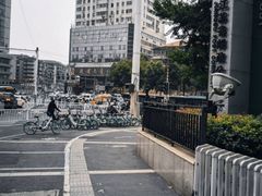 -菊花台公园