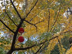 -南山风景名胜区