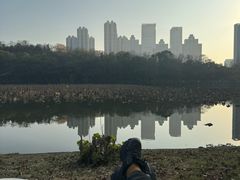 -月湖风景区
