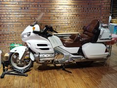 -郑享吃烧烤烩面(红专路店)