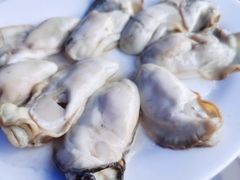 生蚝-花苑美食横琴生蚝火锅(拱北粤华路店)