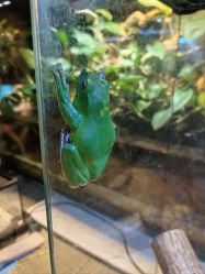 -酷嗒动物文化乐园(cutezoo西溪乐天城店)