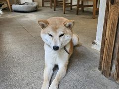-三目仓咖啡(贤南路店)