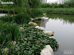 -苏州河梦清园环保主题公园