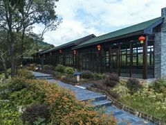 -汤山温泉房车营地 茶温泉