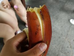 -金盆阿嬷香菇茶叶蛋(玄光店)