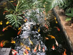 -三亚亚龙湾五号度假别墅酒店