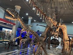 -国家自然博物馆