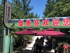 -北京麋鹿生态实验中心