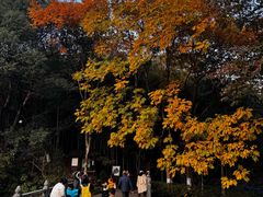 -杭州半山国家森林公园