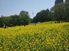 -长白岛森林公园