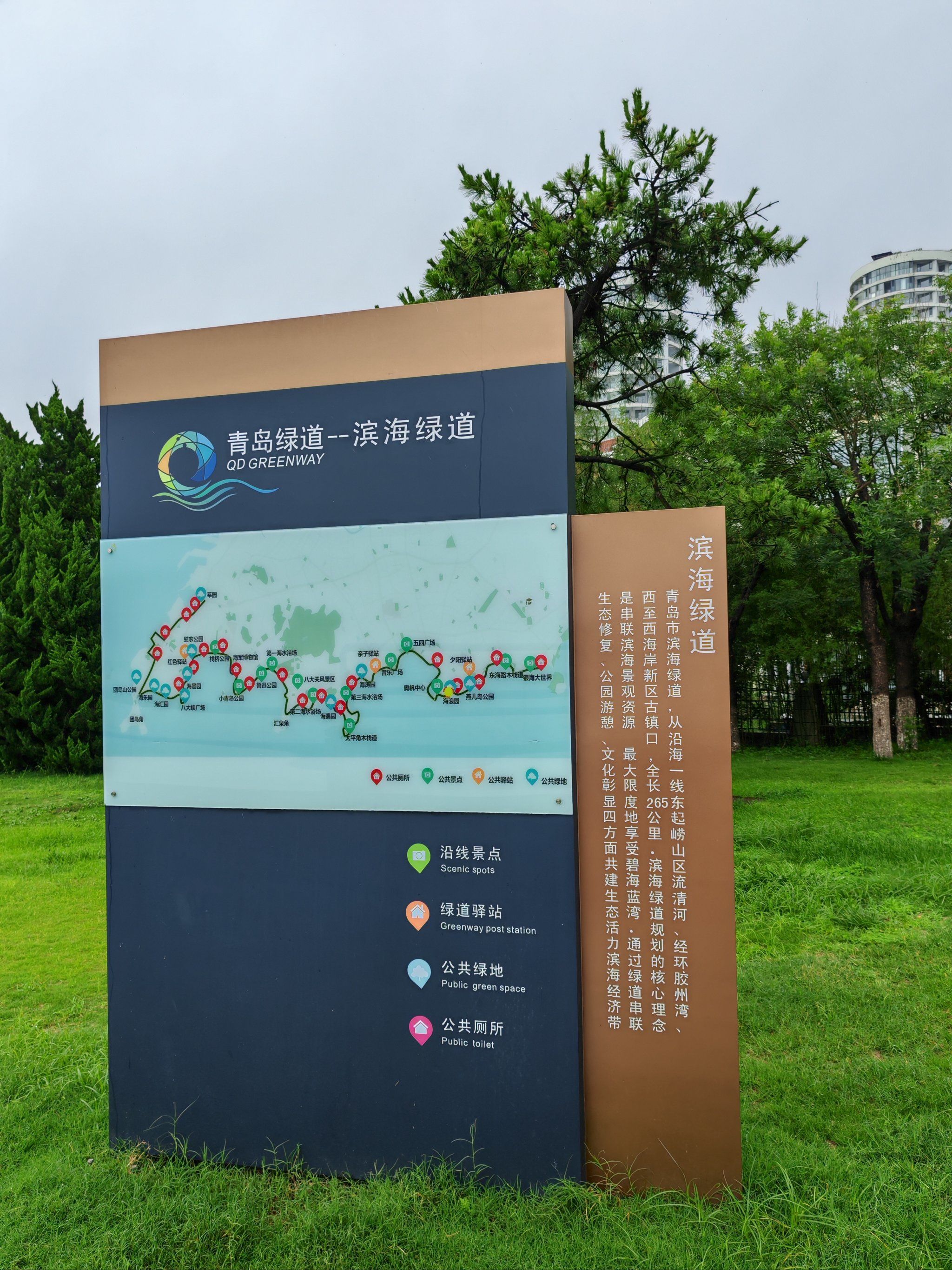 0元玩转这座城 
下雨天的滨海绿道人还不少呢