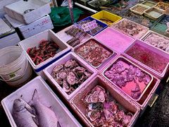 -东江海鲜大排档·潮汕菜·砂锅粥