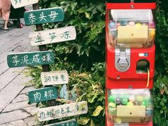 -晋江五店市传统文化旅游区