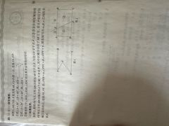 -隋唐大运河文化博物馆