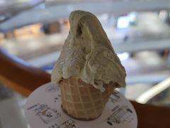 -野人先生现做冰淇淋(北京环宇荟店)