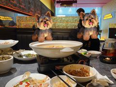 -炊烟小炒黄牛肉(浦东世纪汇店)