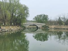 -大兴滨河森林公园