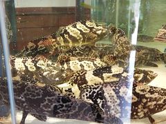 -万龙洲海鲜(大兴绿地缤纷城店)