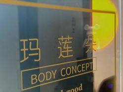 点击看大图 -玛莲朵·海菲秀冰珀科