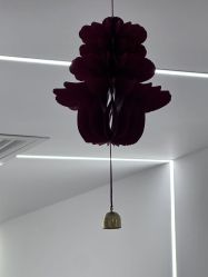 -春田皮肤管理中心品牌旗舰店