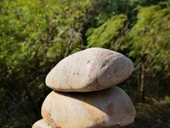 -吴淞炮台湾湿地森林公园烧烤区