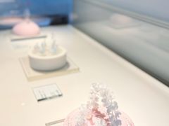 -BLACKSWAN黑天鹅(环球店)