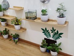 -自然树儿童之家(海珠翠城花园托育.早教校区)