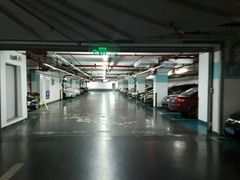 -莘庄龙之梦停车场
