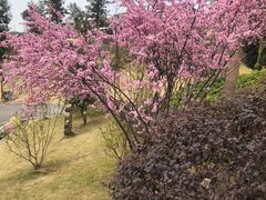 -枫香湖儿童公园