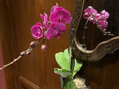 -利顺德大饭店·维多利亚花园(小白楼店)